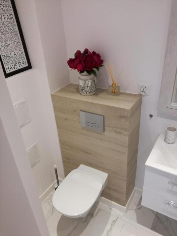 Apartament Przy Parku Radom Zewnętrze zdjęcie
